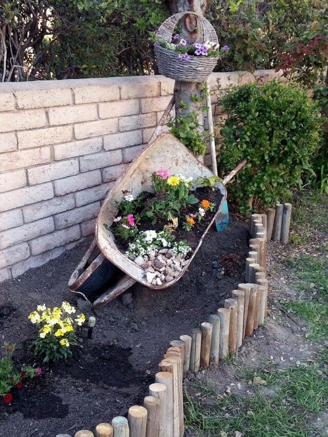 plantas em casa