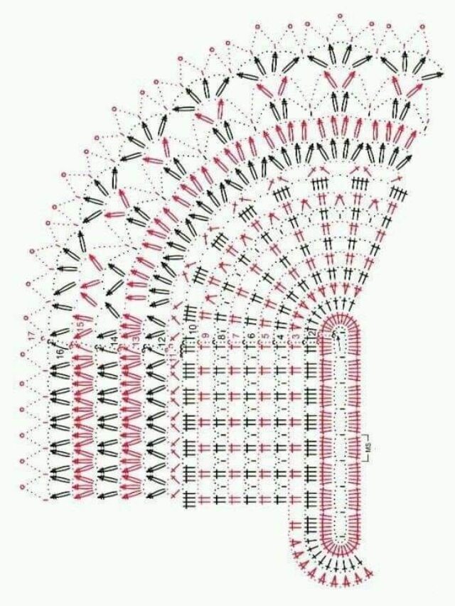 grafico de tapete oval (1)